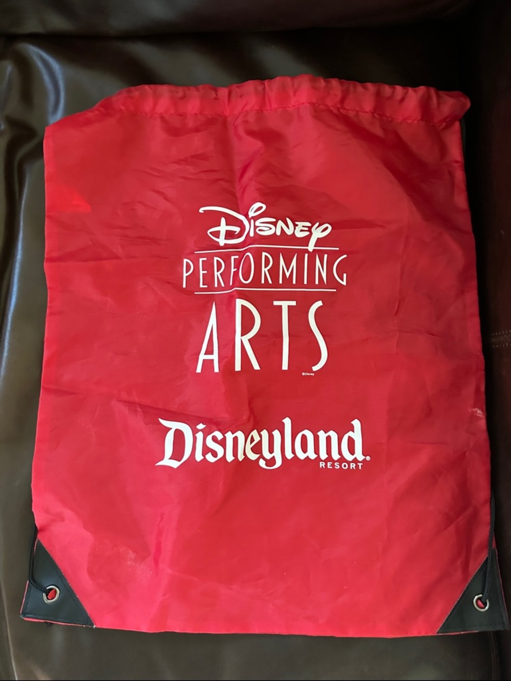 Rare Disney Performing Arts Disneyland Resort Red Nylon Drawstring Backpack